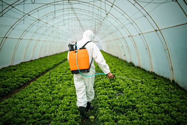 Best Residential Pest Control  in Merrillville, IN