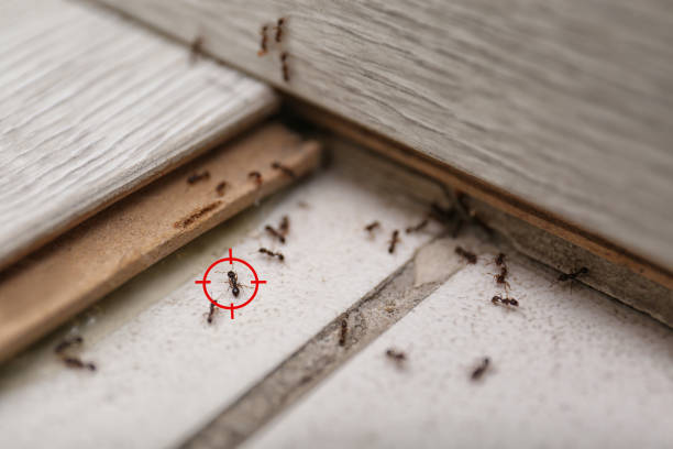 Merrillville, IN Pest Control Company