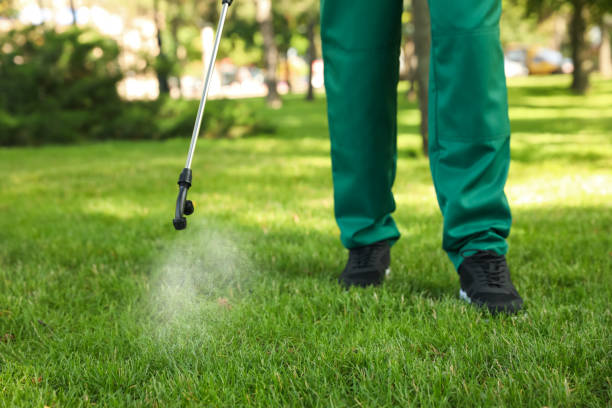 Best Best Pest Control Companies  in Merrillville, IN
