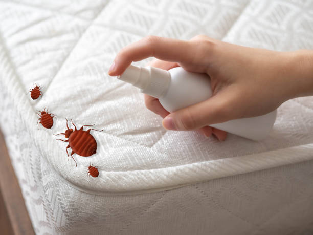 Pest Control for Restaurants in Merrillville, IN