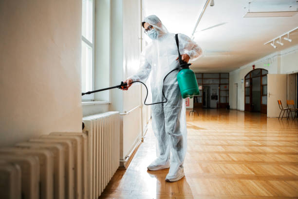 Best Flea Control Services  in Merrillville, IN