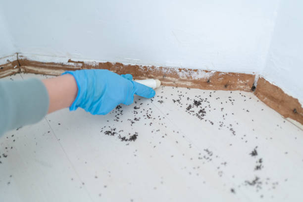 Best Wasp Removal Services  in Merrillville, IN
