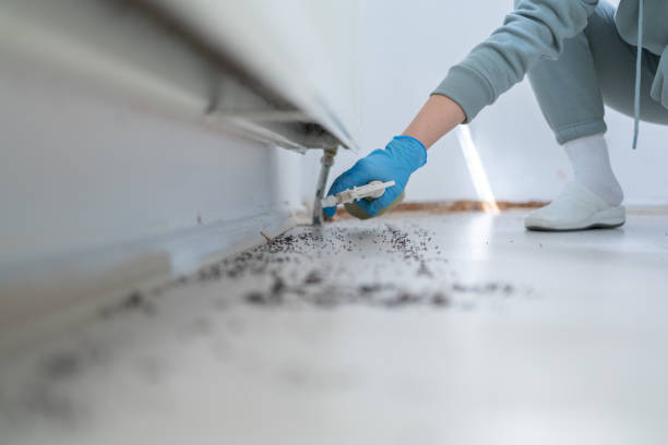 Best Wasp Removal Services  in Merrillville, IN